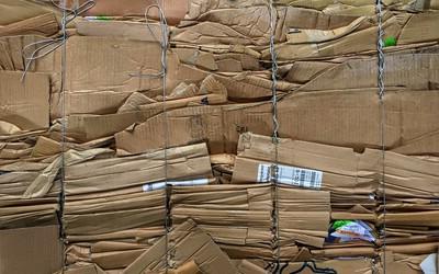 Is Cardboard Recyclable? 